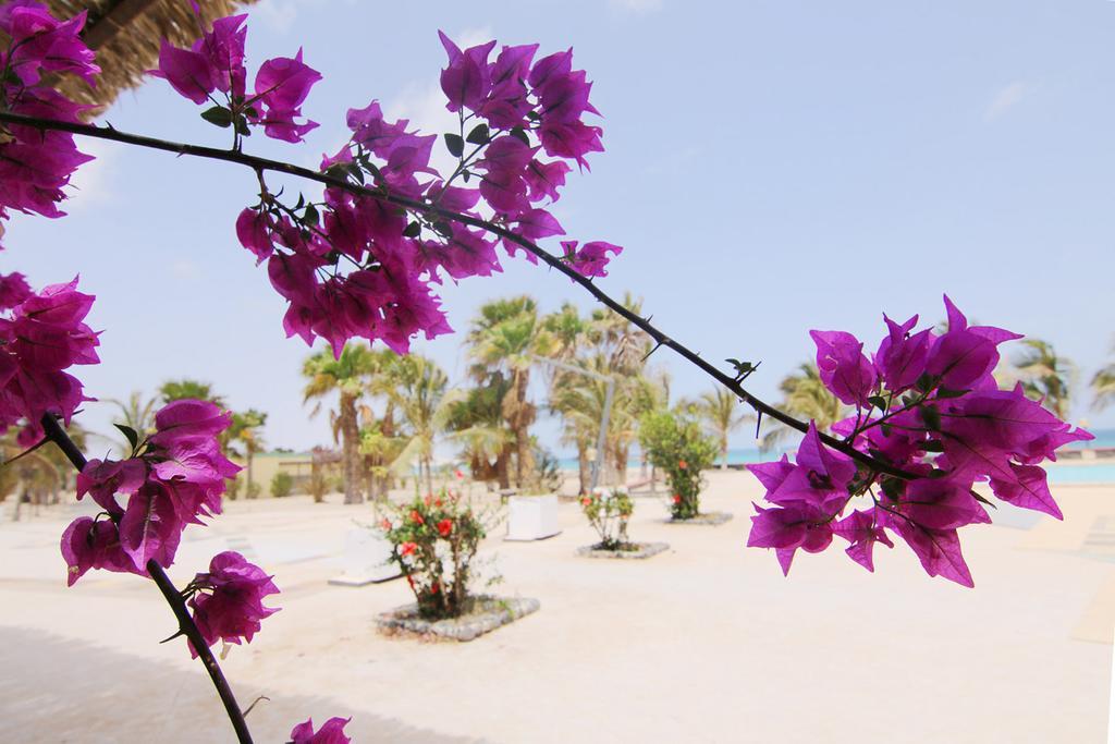 Vilas Praia Chaves Rabil ภายนอก รูปภาพ